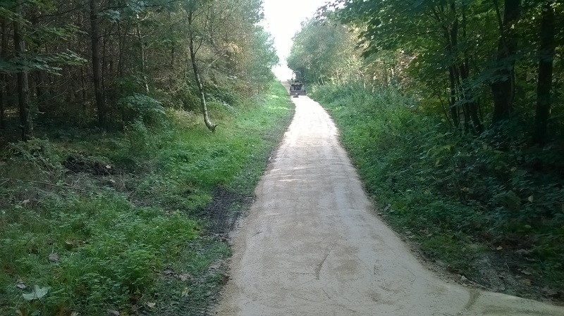 Oakenshaw Nature Reserve - Path Before