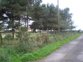 Cattery Fence - Before