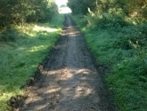 Oakenshaw Nature Reserve - Path Before