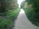 Oakenshaw Nature Reserve - Path Before