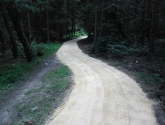 Oakenshaw Nature Reserve - Woodland Footpath