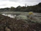 Potto Pond - Before Reshaping