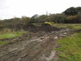 Potto Pond - Before Reshaping