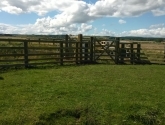 Ross Budle Bay - Fencing